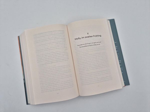 Produktbild: D&auml;mmerung