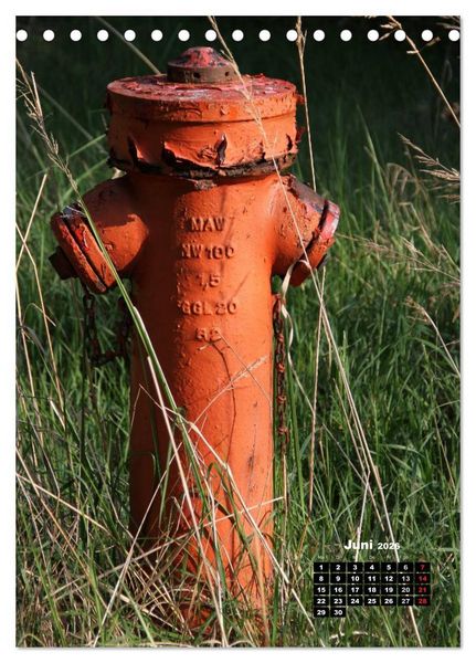 Produktbild: Nostalgie Hydranten (Tischkalender 2026 DIN A5 hoch), CALVENDO Monatskalender