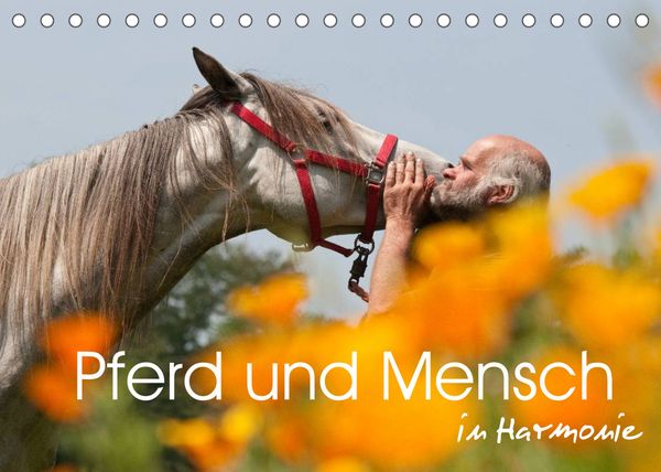 Produktbild: Pferd und Mensch in Harmonie (Tischkalender 2022 DIN A5 quer)