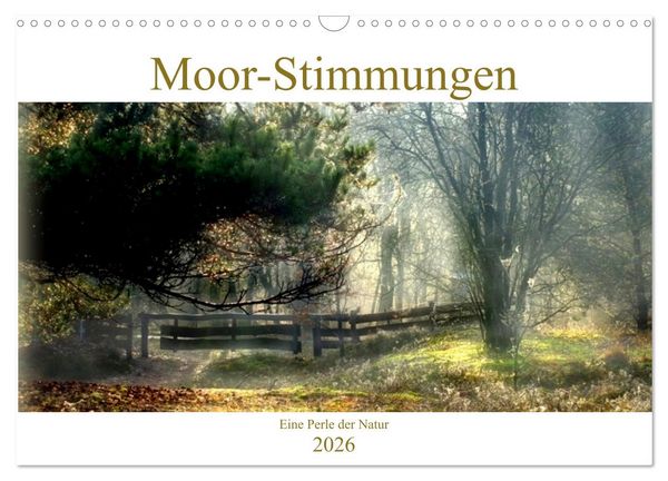 Moor-Stimmungen (Wandkalender 2026 DIN A3 quer), CALVENDO Monatskalender