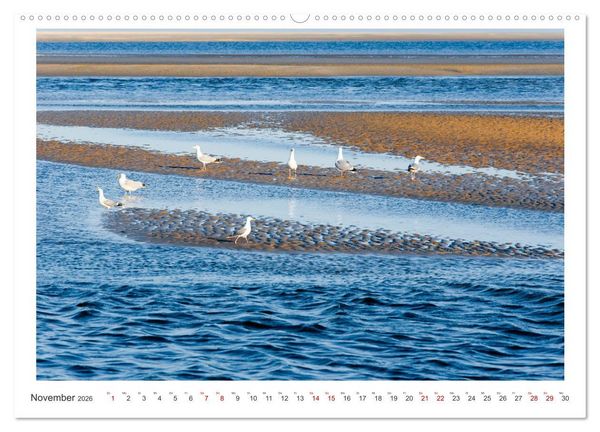 Produktbild: Buntes und bl&uuml;hendes Borkum (Wandkalender 2026 DIN A2 quer), CALVENDO Monatskalender