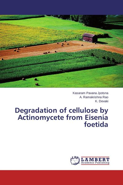 Produktbild: Degradation of cellulose by Actinomycete from Eisenia foetida