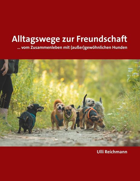 Produktbild: Alltagswege zur Freundschaft