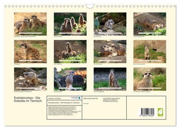 Produktbild: Erdm&auml;nnchen - Die Kobolde im Tierreich (Wandkalender 2026 DIN A3 quer), CALVENDO Monatskalender
