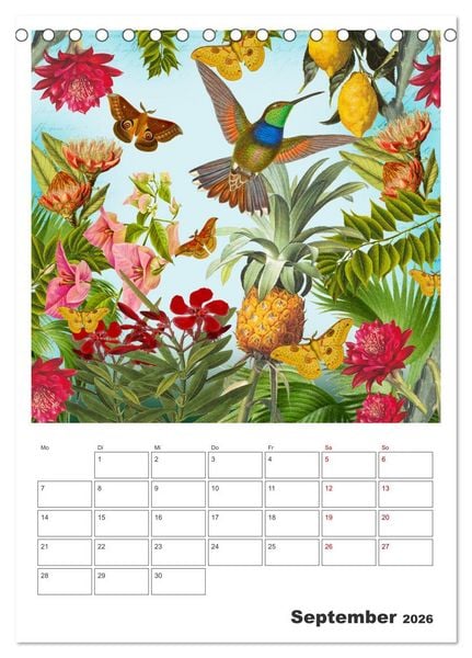 Produktbild: Das Paradies der Kolibris (Tischkalender 2026 DIN A5 hoch), CALVENDO Monatskalender