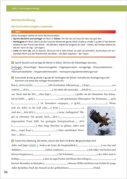 Produktbild: FiNALE Grundlagentraining &ndash; Hauptschulabschluss, Mittlerer Schulabschluss