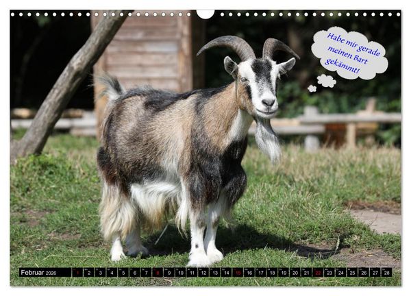 Produktbild: Wenn Tiere sprechen k&ouml;nnten! Der lustige Spr&uuml;che Kalender (Wandkalender 2026 DIN A3 quer), CALVENDO Monatskalender