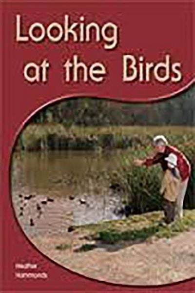Produktbild: Looking at the Birds
