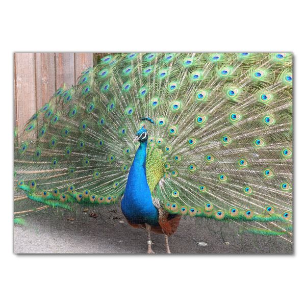 Produktbild: Lais Puzzle Pfau 1000 Teile