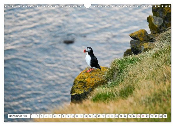 Produktbild: Islands Papageientaucher (Wandkalender 2027 DIN A3 quer), CALVENDO Monatskalender