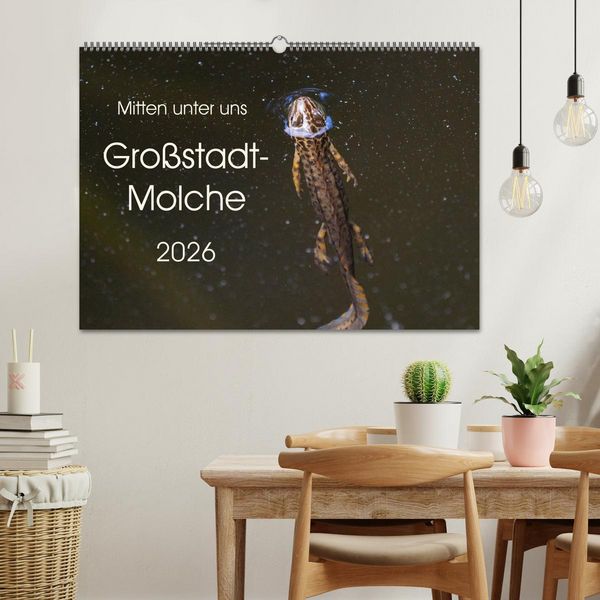 Produktbild: Mitten unter uns - Gro&szlig;stadt-Molche (Wandkalender 2026 DIN A2 quer), CALVENDO Monatskalender