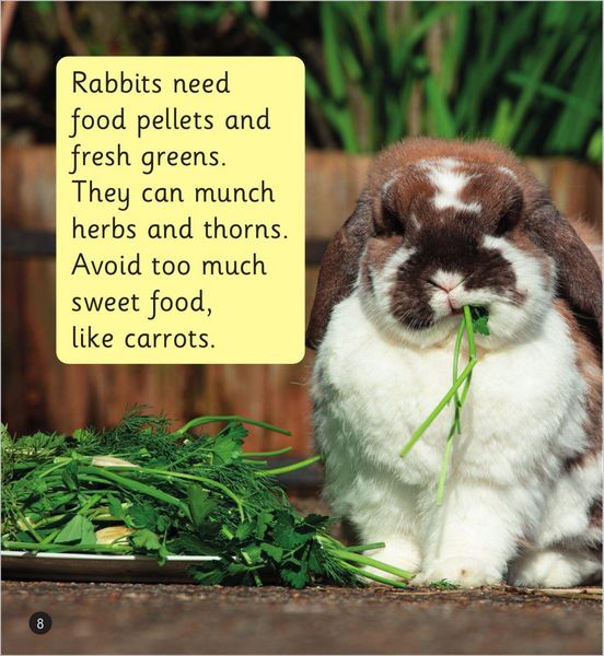 Produktbild: Pet Rabbits (Set 8)