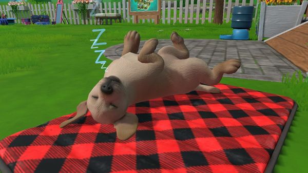 Produktbild: Little Friends - Puppy Island: Die Insel der Welpen (CIAB)