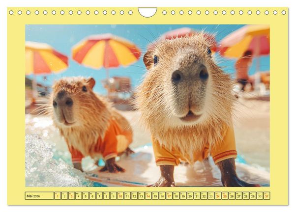 Produktbild: Capybaras on Tour. Wasserschweine als Weltenbummler (Wandkalender 2026 DIN A4 quer), CALVENDO Monatskalender