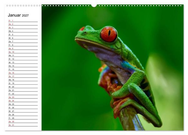 Produktbild: Costa Rica &ndash; Tierparadies im Regenwald (Wandkalender 2027 DIN A2 quer), CALVENDO Monatskalender