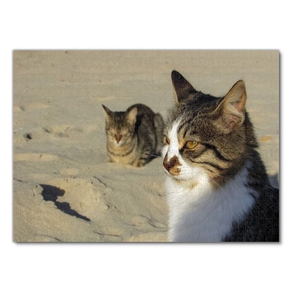 Produktbild: Lais Puzzle Katzen am Strand 1000 Teile