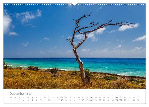 Produktbild: Cuba - Unter der Sonne der Karibik (Wandkalender 2026 DIN A2 quer), CALVENDO Monatskalender