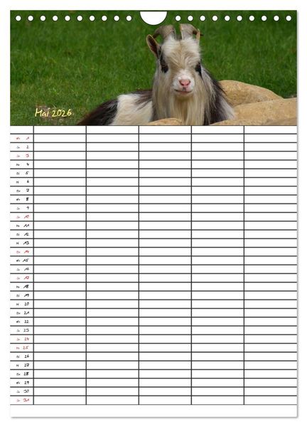 Produktbild: Bauernhoftiere Familienplaner (Wandkalender 2026 DIN A4 hoch), CALVENDO Monatskalender