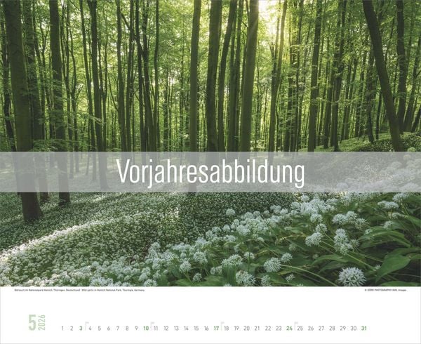 Produktbild: Zauberhafte W&auml;lder 2027