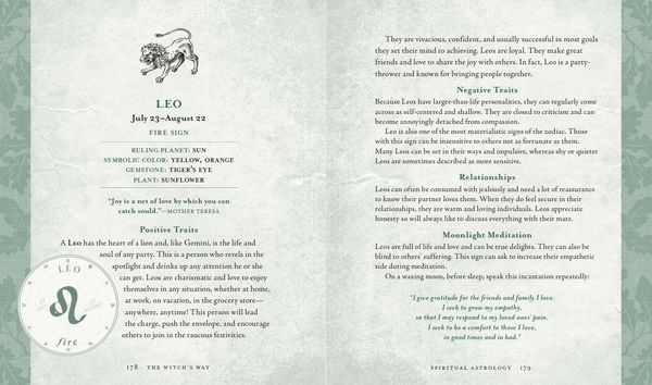 Produktbild: The Witch's Way