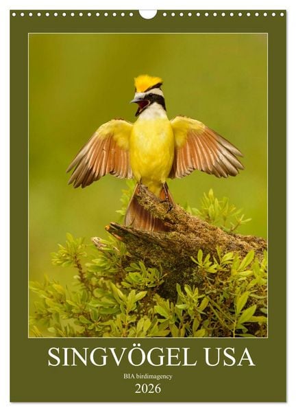 Produktbild: Singv&ouml;gel USA (Wandkalender 2026 DIN A3 hoch), CALVENDO Monatskalender