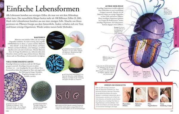 Produktbild: Wissen f&uuml;r clevere Kids. Naturwissenschaften f&uuml;r clevere Kids