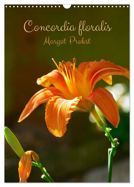 Produktbild: Concordia floralis (Calendrier mural 2026 DIN A3 horizontal), CALVENDO calendrier mensuel