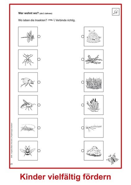 Produktbild: Kita aktiv Projektmappe Insekten