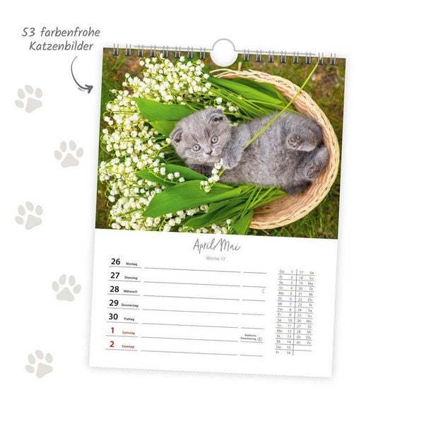 Produktbild: TR&Ouml;TSCH - Wochenkalender zum H&auml;ngen Katzen 2027