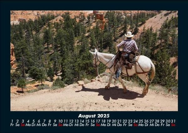 Produktbild: Die Welt der Pferde 2025 Fotokalender DIN A5