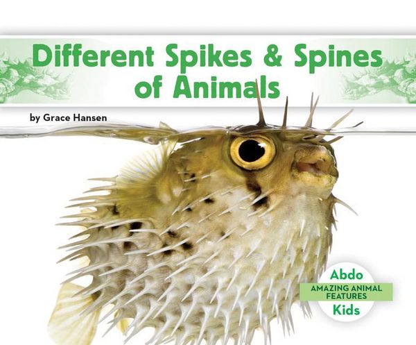 Produktbild: Different Spikes & Spines of Animals