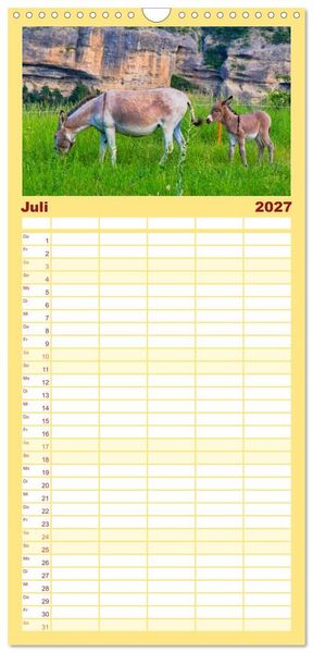 Produktbild: Familienplaner 2027 - Liebenswerte Esel mit 5 Spalten (Wandkalender, 21 x 45 cm) CALVENDO