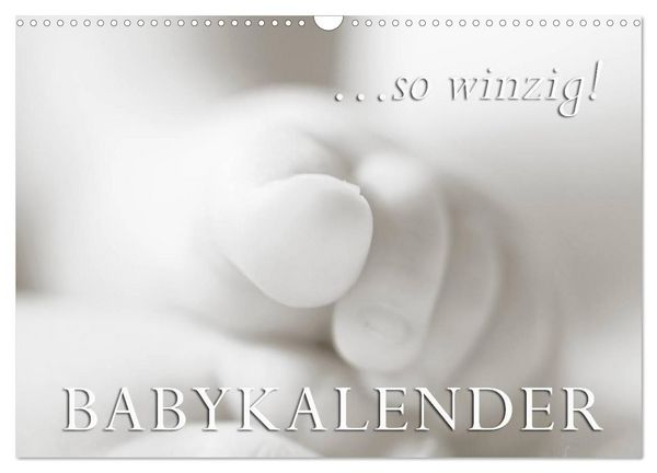 Produktbild: ...so winzig - Babykalender (Wandkalender 2026 DIN A3 quer), CALVENDO Monatskalender