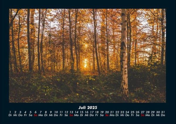 Produktbild: Waldzauber 2025 Fotokalender DIN A4