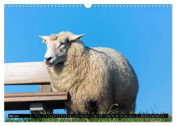 Produktbild: Gr&uuml;&szlig;e von Pellworm (Wandkalender 2026 DIN A3 quer), CALVENDO Monatskalender