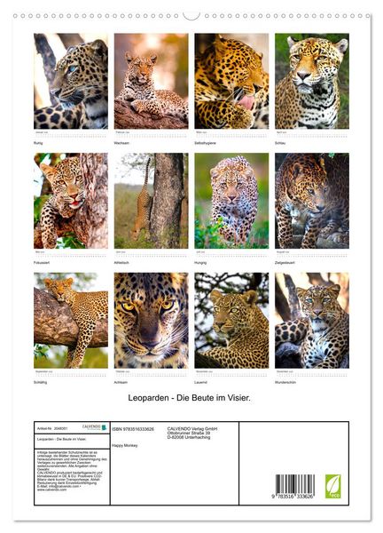 Produktbild: Leoparden - Die Beute im Visier. (hochwertiger Premium Wandkalender 2026 DIN A2 hoch), Kunstdruck in Hochglanz
