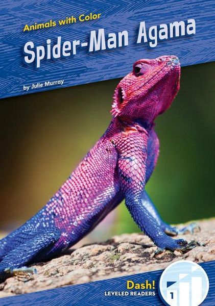 Produktbild: Spider-Man Agama