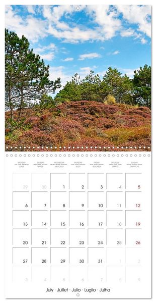 Produktbild: Les paysages d'Allemagne (Calendrier mural carr&eacute; 2026 30x30 cm) Calendrier double avec une page pour vos prises de notes