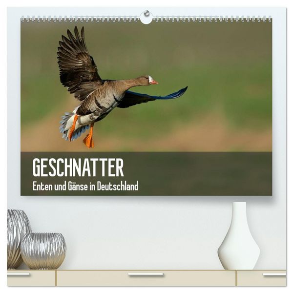 Produktbild: Geschnatter - Enten und G&auml;nse in Deutschland (hochwertiger Premium Wandkalender 2026 DIN A2 quer), Kunstdruck in Hochglanz