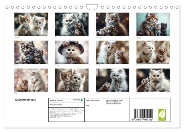 Produktbild: Katzenmomente (Wandkalender 2026 DIN A4 quer), CALVENDO Monatskalender