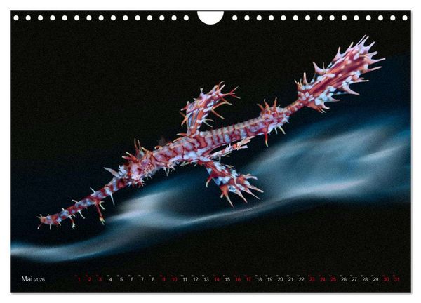 Produktbild: Artwork Unterwasser - Erlebnis Tauchen (Wandkalender 2026 DIN A4 quer), CALVENDO Monatskalender