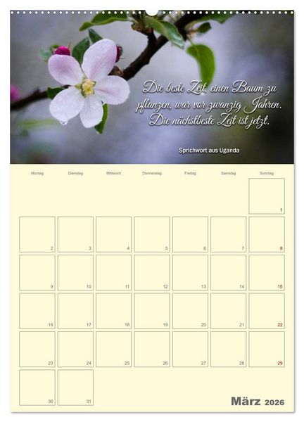 Produktbild: Gartenliebe (Wandkalender 2026 DIN A2 hoch), CALVENDO Monatskalender
