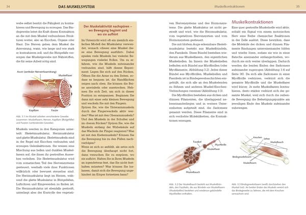 Produktbild: Yoga-Anatomie