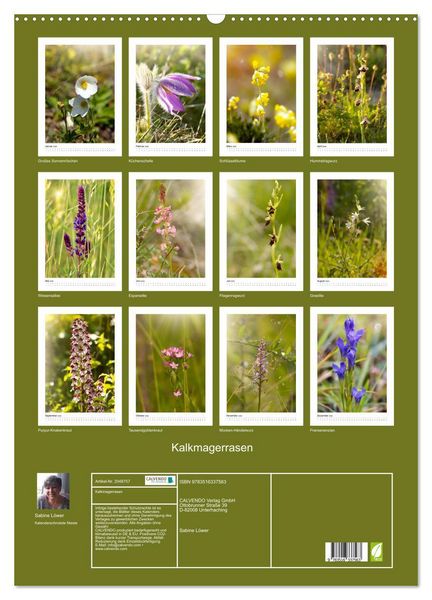 Produktbild: Kalkmagerrasen (Wandkalender 2026 DIN A2 hoch), CALVENDO Monatskalender