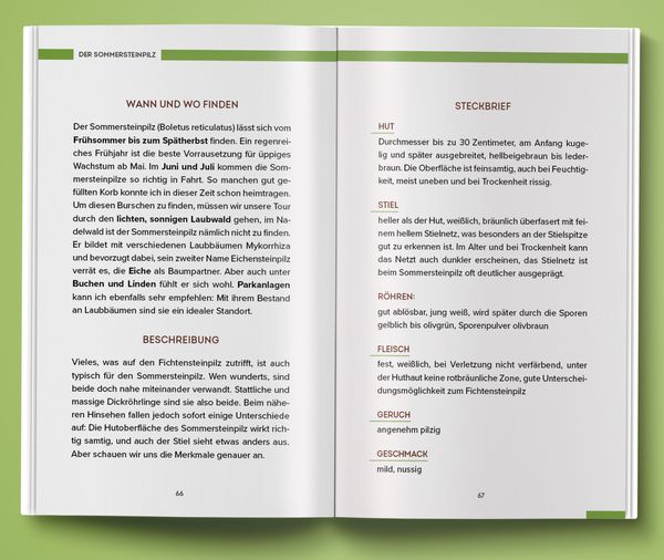 Produktbild: Unbekannte Leckereien: 30 Pilzarten, deren Geschmack dich &uuml;berraschen wird