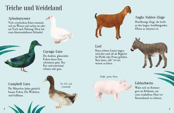 Produktbild: Usborne Minis Naturf&uuml;hrer: Tiere auf dem Bauernhof