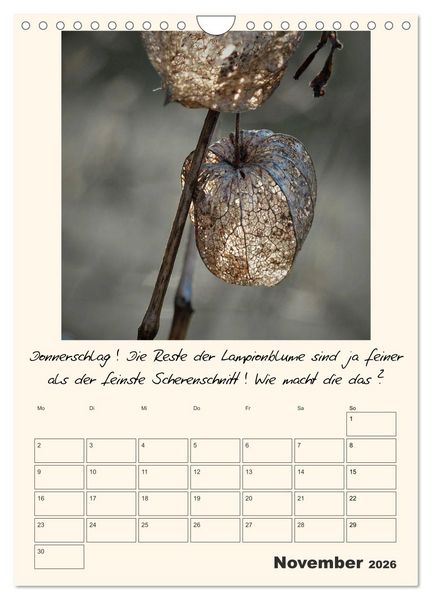 Produktbild: Gartengeschichten (Wandkalender 2026 DIN A4 hoch), CALVENDO Monatskalender