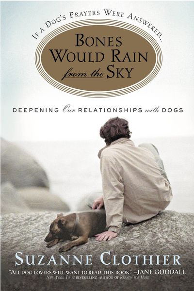 Produktbild: Bones Would Rain from the Sky