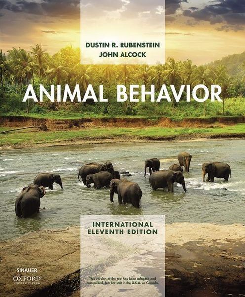 Produktbild: Rubenstein, D: Animal Behavior