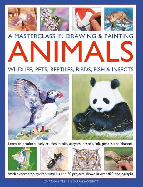 Produktbild: A Masterclass in Drawing & Painting Animals (Wildlife, Pets, Reptiles, Birds, Fish & Insects)